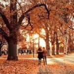People in autumn street in melbourne with brown fallen leaves